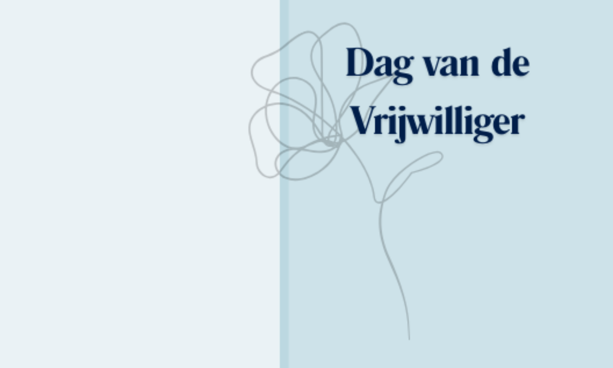 Dag van de Vrijwilliger